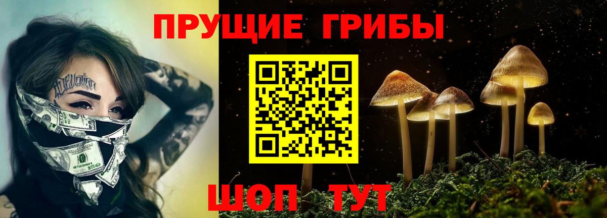 Псилоцибиновые грибы GOLDEN TEACHER  Галлюциногенные грибы Psilocybine cubensis  Вход с VPN  Янаул 